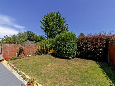 Picture 29